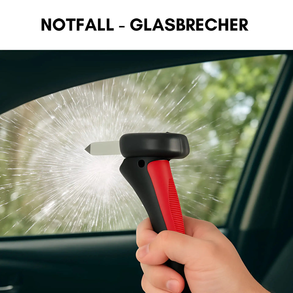 GriffGut Ein- Ausstiegshilfe